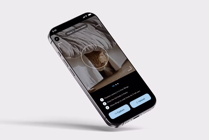 Guided video capture screen framing a cat, with three filming tips and Capture and Upload buttons